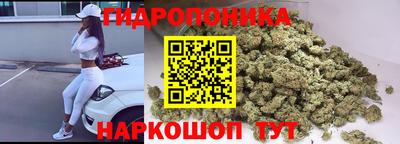 эйфоретик Коммунар